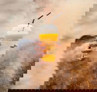 Joe and the Juice - Elizabeth Bay - New South Wales Tourism 