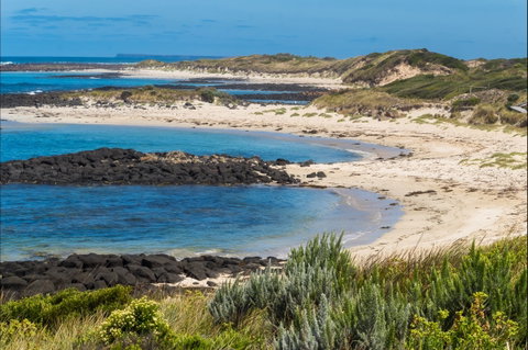 Time And Tide Tearoom - New South Wales Tourism  2