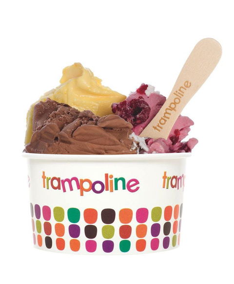 Trampoline Gelato - Doncaster - New South Wales Tourism  0