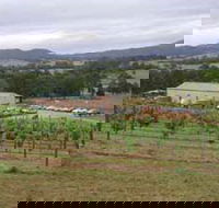 Villa d Esta Vineyard - New South Wales Tourism 