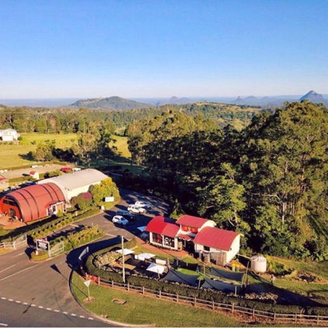Live Foods Cafe - New South Wales Tourism  0