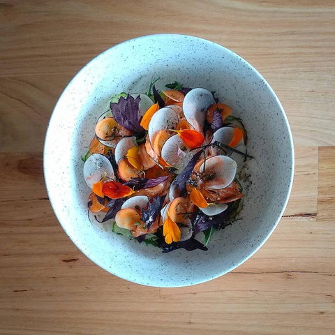 Pachinko - New South Wales Tourism  0