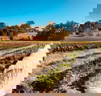 Synchronicity Farm - New South Wales Tourism 