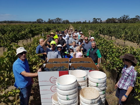 The Shiraz Republic - New South Wales Tourism  1