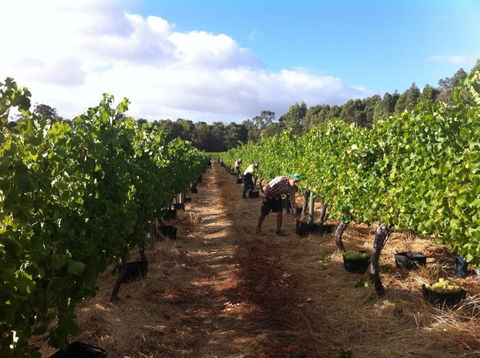 Ashbrook Estate - New South Wales Tourism  1