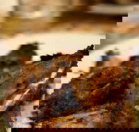 Faheem Fast Food - New South Wales Tourism 