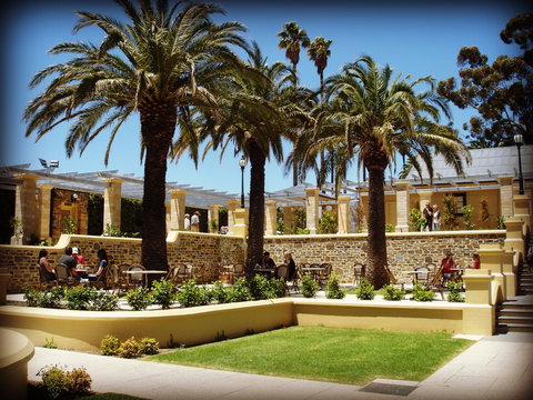 FINO Seppeltsfield - New South Wales Tourism  1