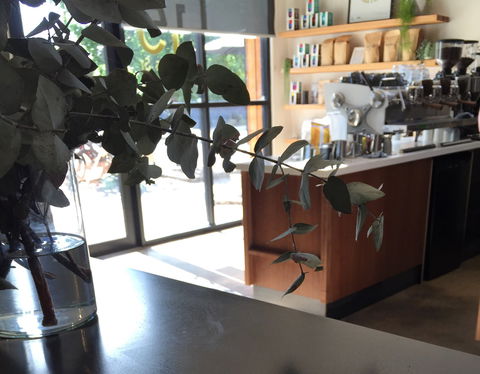 Sixpence Coffee Roasters - New South Wales Tourism  2