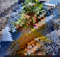 Skal - New South Wales Tourism 