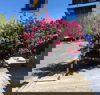 Alpine Gate Cafe - New South Wales Tourism 