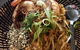 Moom Asian Cuisine - thumb 13