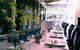 Parisi's Restaurant - thumb 2