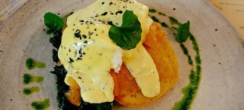 To The Woods - New South Wales Tourism  2