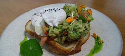 To The Woods - New South Wales Tourism  3