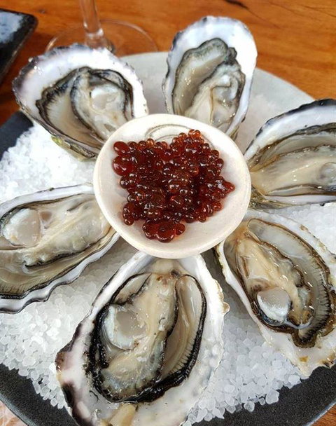 To The Woods - New South Wales Tourism  7