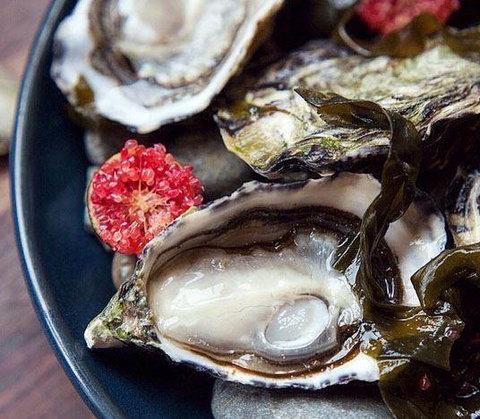 Harvest - New South Wales Tourism  9