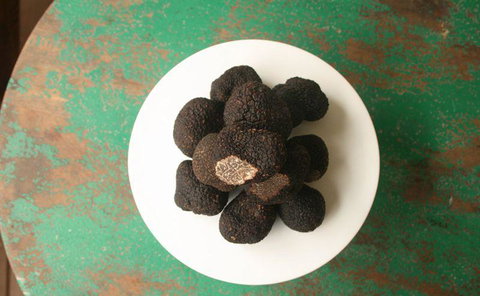 Harvest - New South Wales Tourism  10