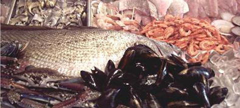 Lifeboat Seafood - New South Wales Tourism  1