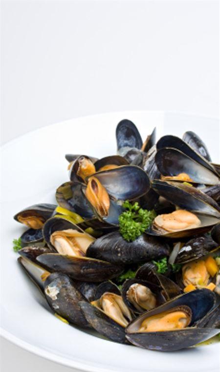Lifeboat Seafood - New South Wales Tourism  4