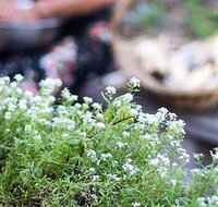 Pascoe Vale RSL - New South Wales Tourism 