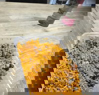 Passage to India - New South Wales Tourism 