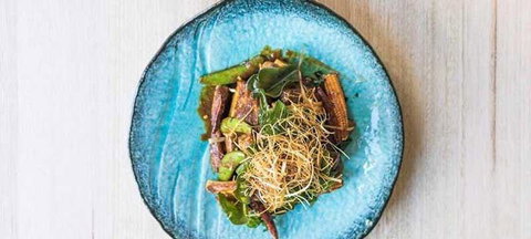 The Groove Train - New South Wales Tourism  6