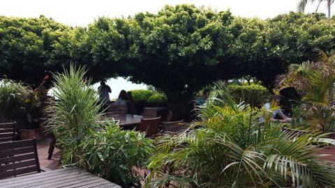 Wharf Restaurant - New South Wales Tourism  0