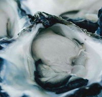 Wheelers Seafood Restaurant - New South Wales Tourism 