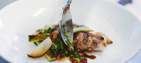 Little Olive Leaf Cafe - New South Wales Tourism  2