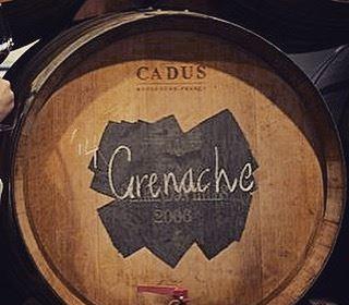 Fat Panda - New South Wales Tourism  6