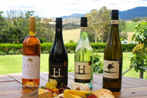 Vines Restaurant At Hollydene Estate - New South Wales Tourism  5