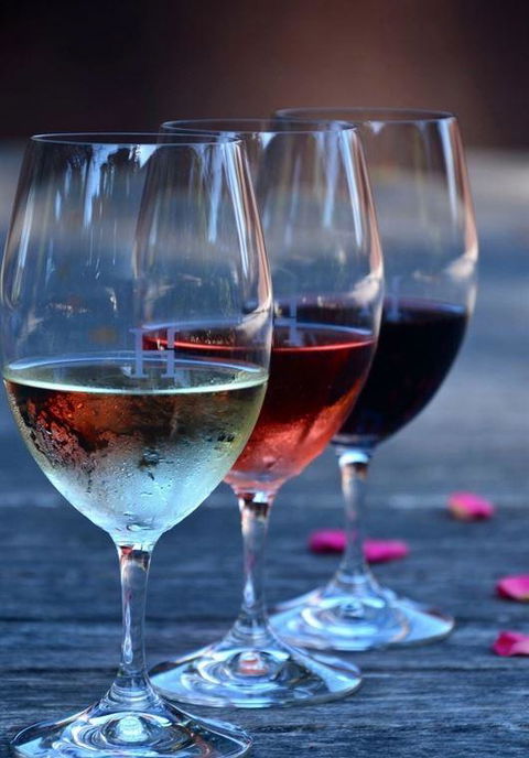 Vines Restaurant At Hollydene Estate - New South Wales Tourism  8