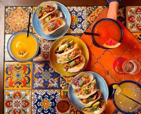 EL Camino Cantina - New South Wales Tourism  0