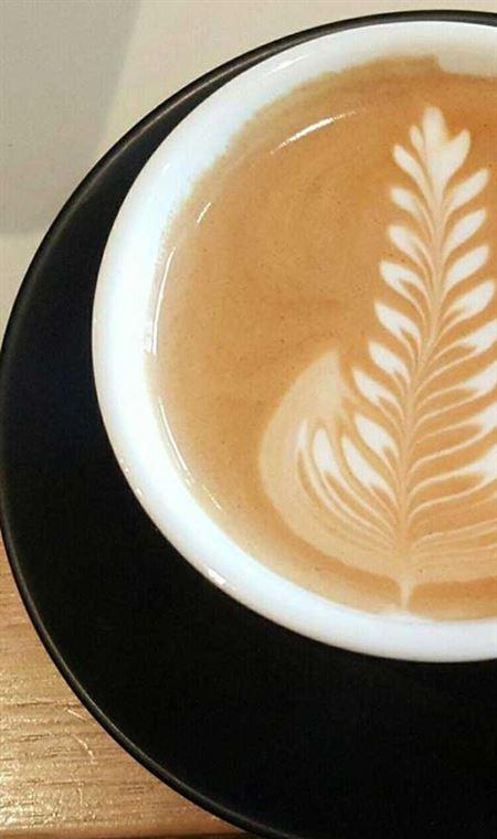 Attaboy Roy - New South Wales Tourism  4