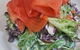 Epicure Francaise - thumb 15