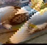 Hungry Boys - New South Wales Tourism 