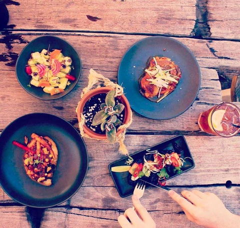Scenic Rim Brewery & Cafe - New South Wales Tourism  7