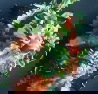 Little Red Providore - New South Wales Tourism 