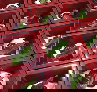 Zen Japanese Restaurant - New South Wales Tourism 