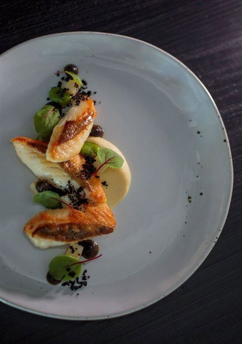 Allium Restaurant & Bar - New South Wales Tourism  7