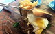Jardine's Cafe - thumb 3