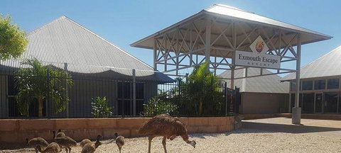 Papou's Kitchen Cafe - New South Wales Tourism  0