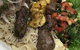 Arz Lebanese Cuisine - thumb 10
