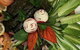 Arz Lebanese Cuisine - thumb 6