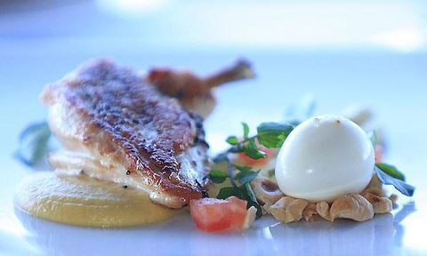 Tea Gardens Boatshed - New South Wales Tourism  3