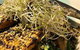 Inlakesh Living Foods Macquarie Shopping Centre - thumb 7