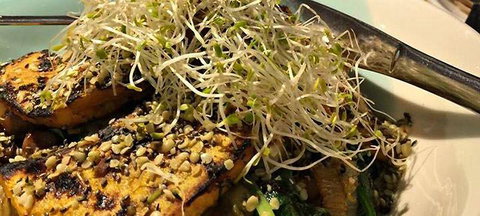 Inlakesh Living Foods Macquarie Shopping Centre - New South Wales Tourism  7