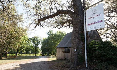 Currency Creek Winery Restaurant - New South Wales Tourism  9