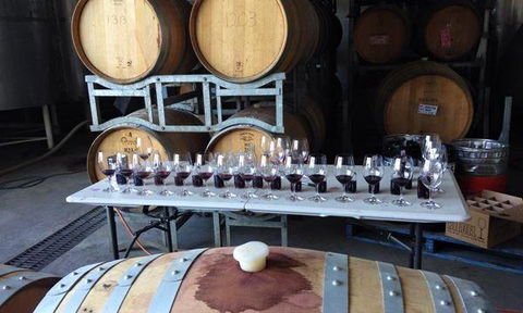 Currency Creek Winery Restaurant - New South Wales Tourism  12