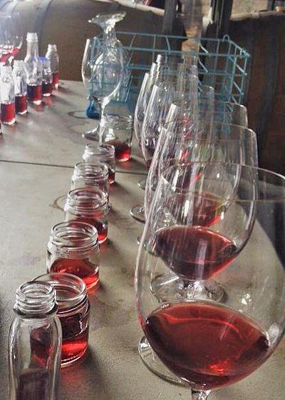 Currency Creek Winery Restaurant - New South Wales Tourism  13